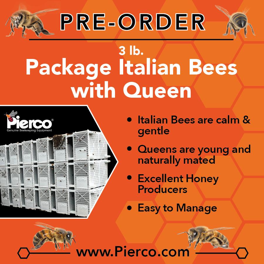 Italian 3 lb. Package bees - Southern California pick up