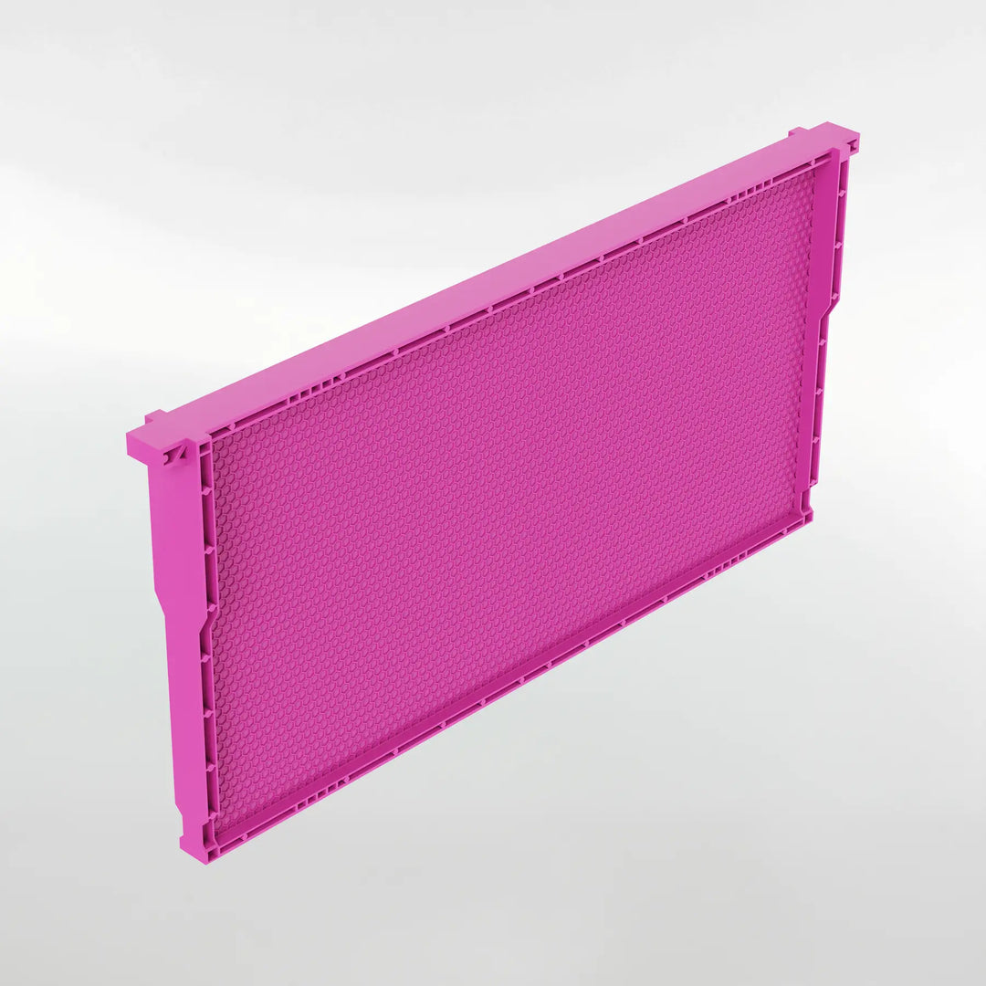 Acorn Pierco One-Piece Plastic Bee Frames