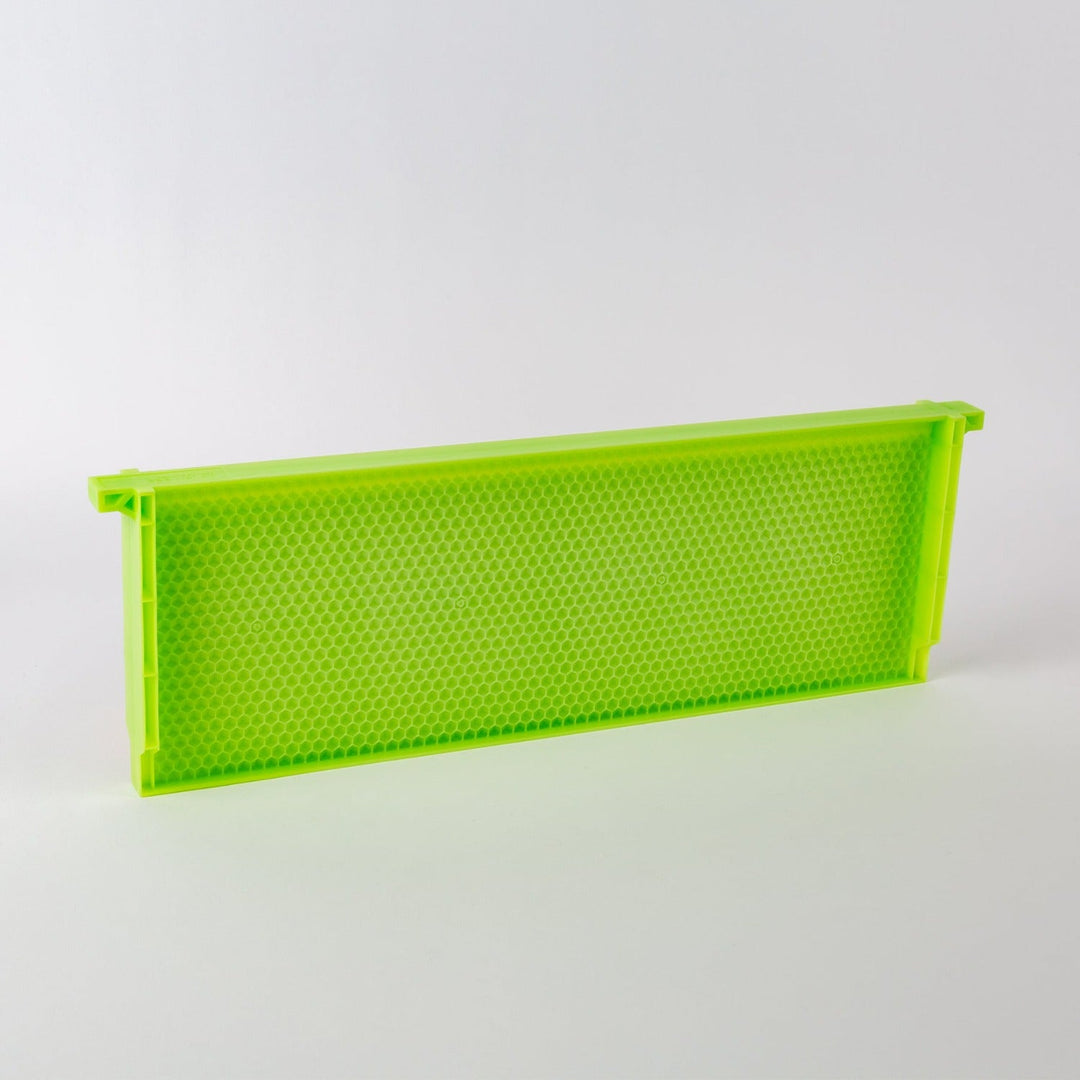 Acorn Pierco Green Drone Comb