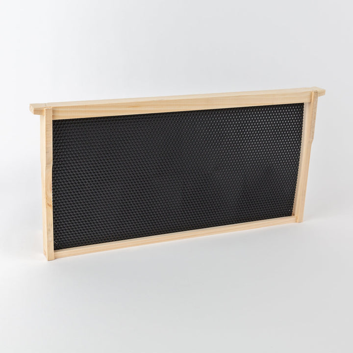 Wooden Bee Frames Pre-Assembled with Acorn Pierco Foundations