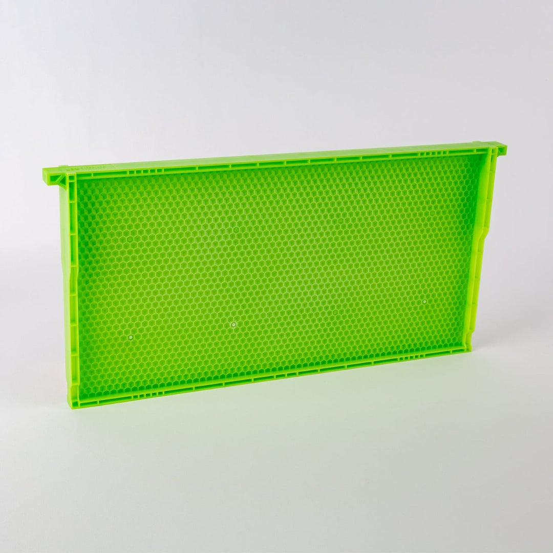 Acorn Pierco Green Drone Comb