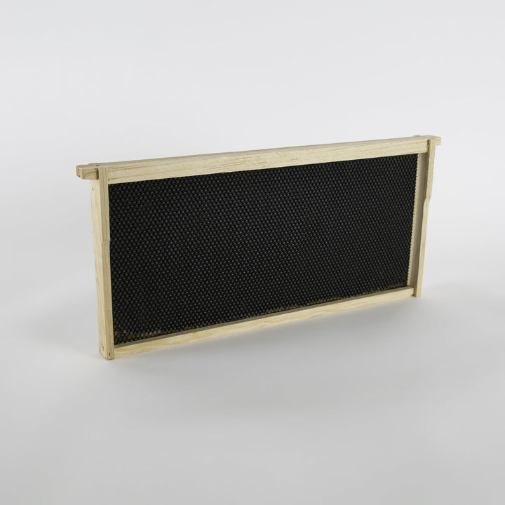 Wooden Bee Frames Pre-Assembled with Acorn Foundation - Medium 6-1/4" (50 frames) - Black