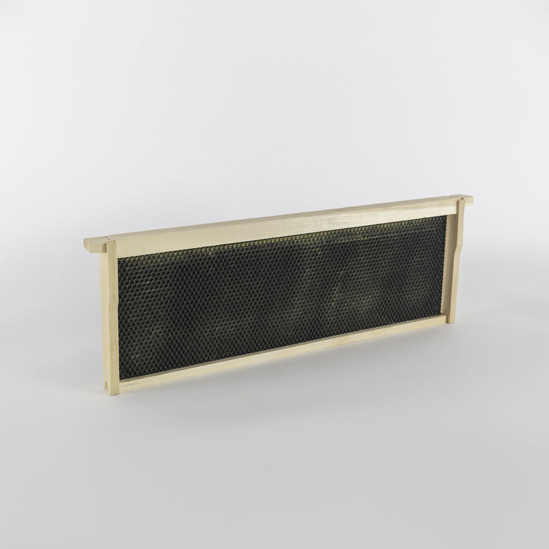Wooden Bee Frames Pre-Assembled with Acorn Pierco Foundations