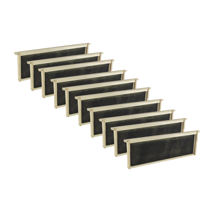 Wooden Bee Frames Pre-Assembled with Acorn Pierco Foundations