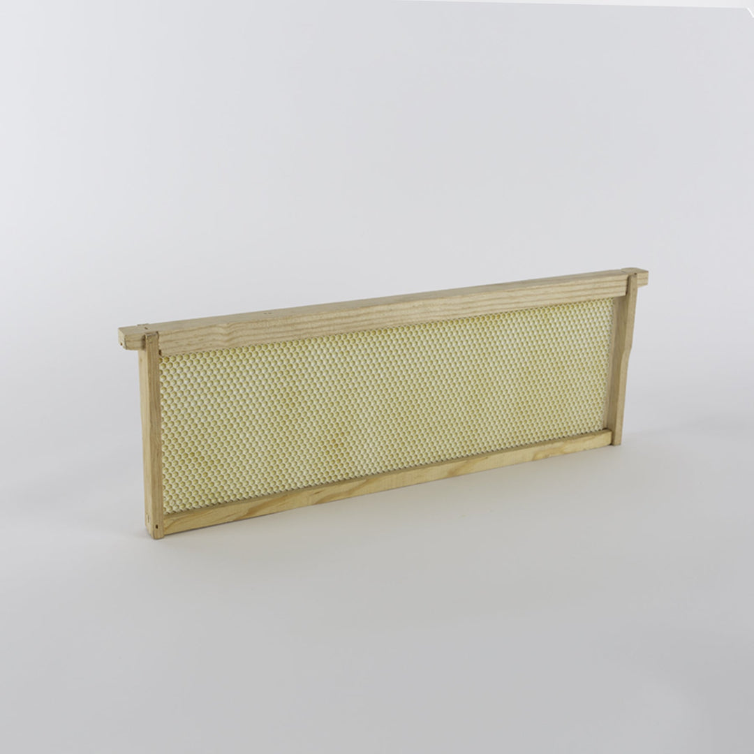 Wooden Bee Frames Pre-Assembled with Acorn Pierco Foundations