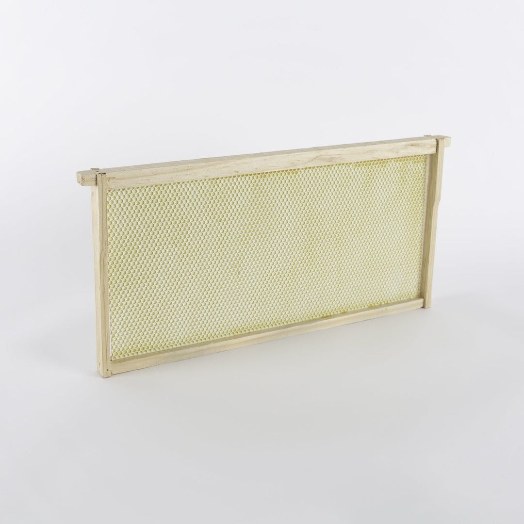 Wooden Bee Frames Pre-Assembled with Acorn Pierco Foundations