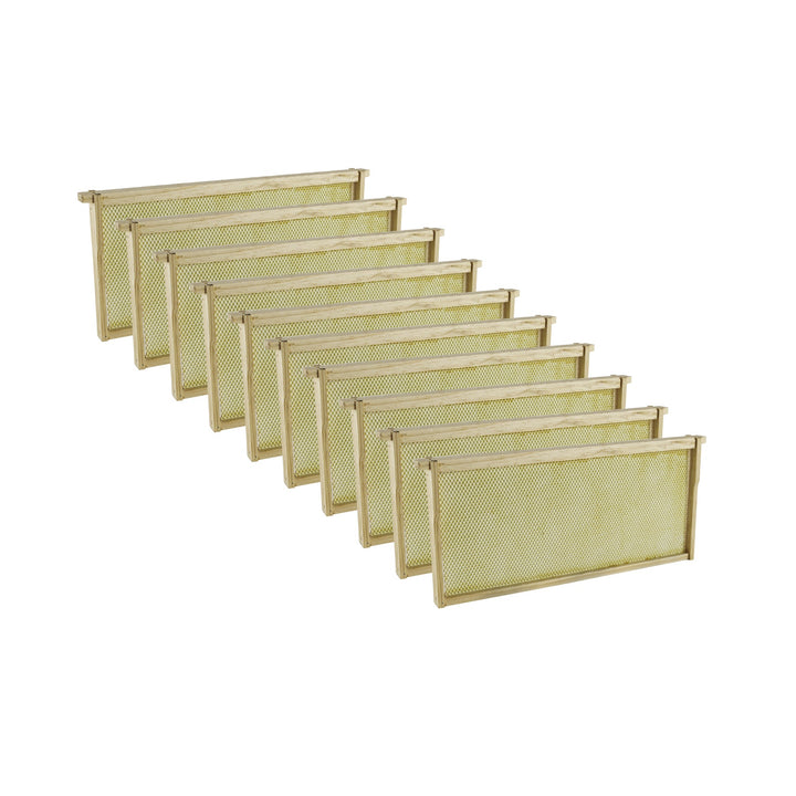 Wooden Bee Frames Pre-Assembled with Acorn Pierco Foundations
