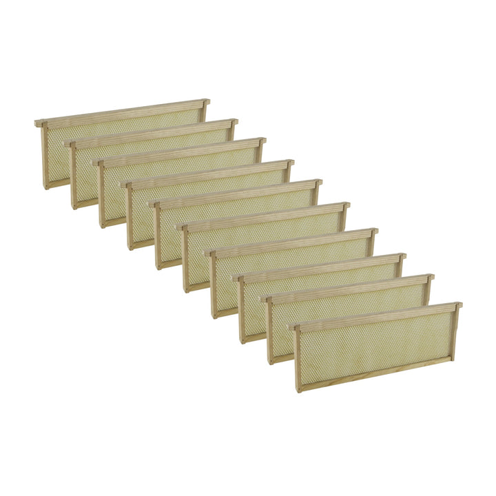 Wooden Bee Frames Pre-Assembled with Acorn Pierco Foundations