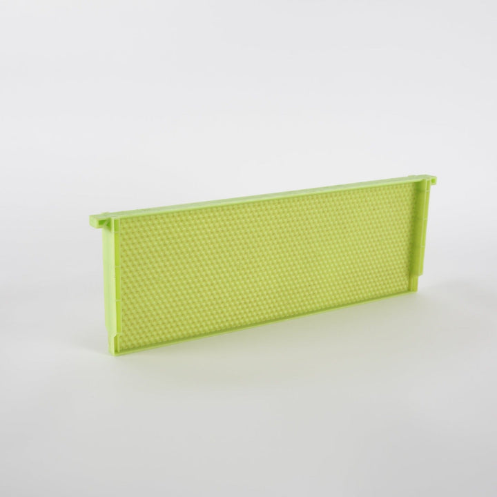 Acorn Pierco Green Drone Comb