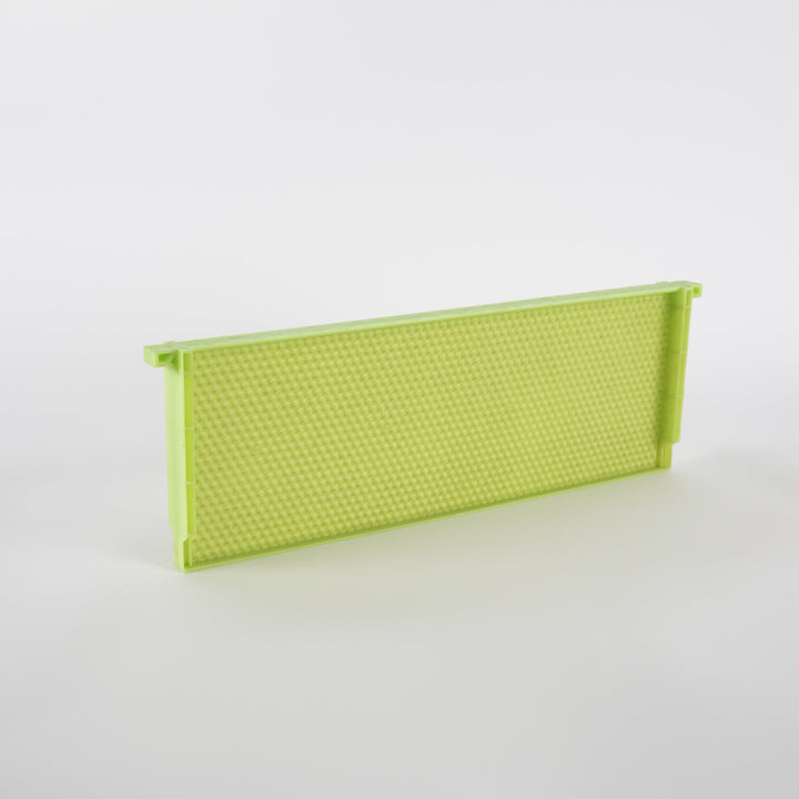Acorn Pierco Green Drone Comb (10-Pack)