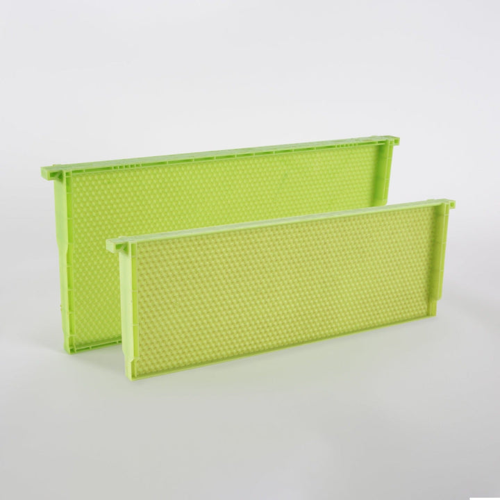 Acorn Green Drone Comb - Medium 6-1/4" (72 frames) - Standard