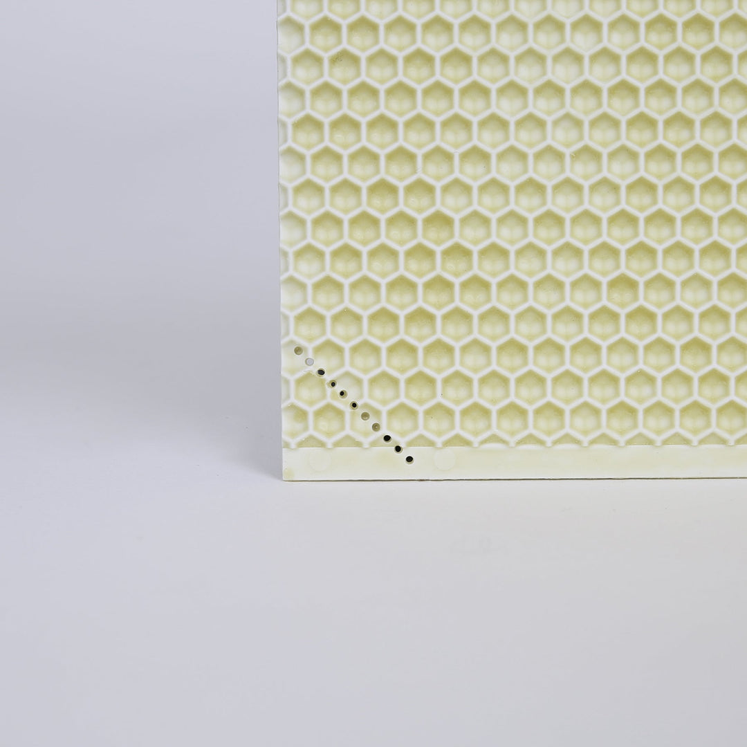 Acorn Pierco Plastic Bee Foundations