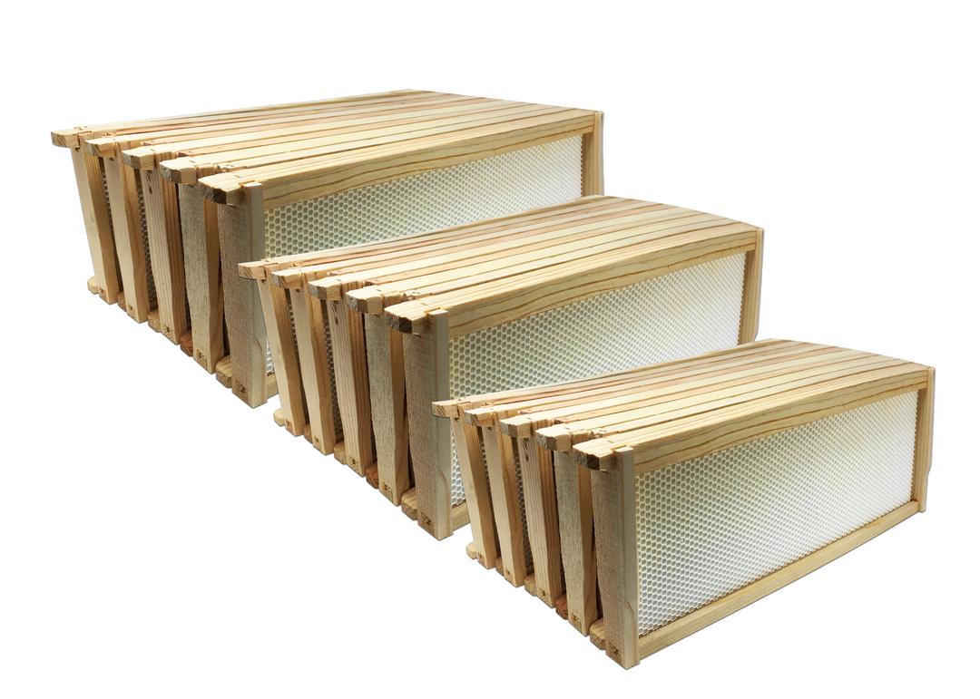Marco de madera mediano de 6 1/4", base blanca DOBLE ENCERADO - Paquete de 57