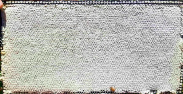 Cera doble | Cuadro resistente a escarabajos Ceracell de 9 1/8", encerado - Paquete de 46