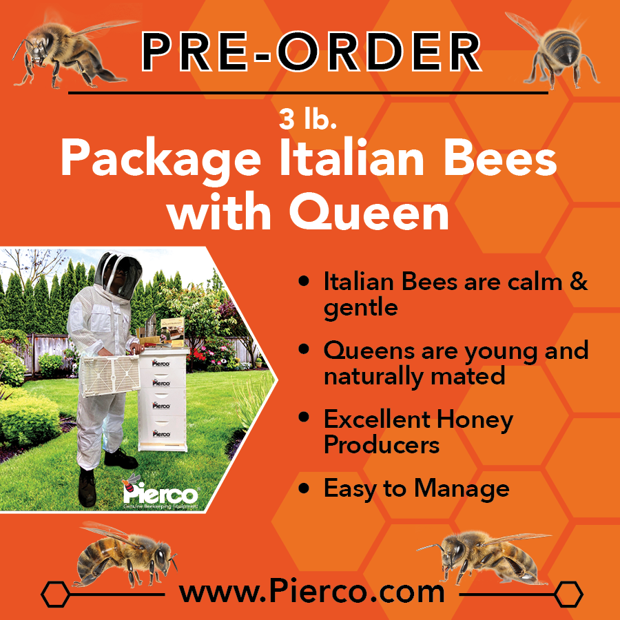 Live Packaged Honey Bees For Sale