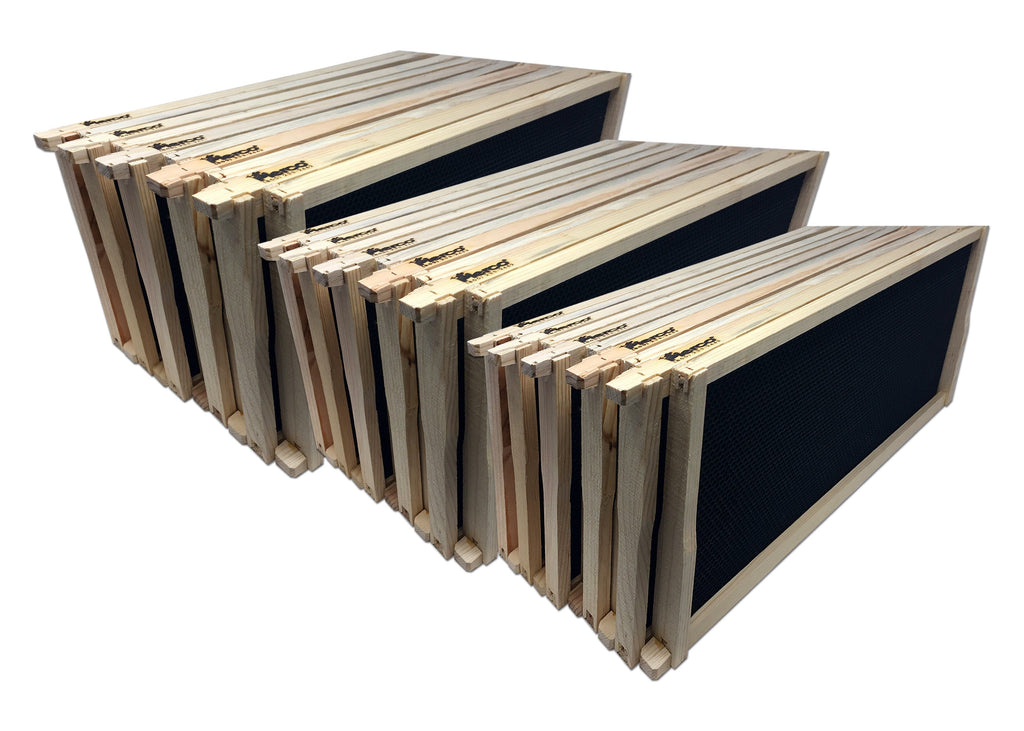 9 1/8" Assembled Deep Wood Frame, Black Foundation - 38 pack - TRIPLE WAX ($4.99 ea.)